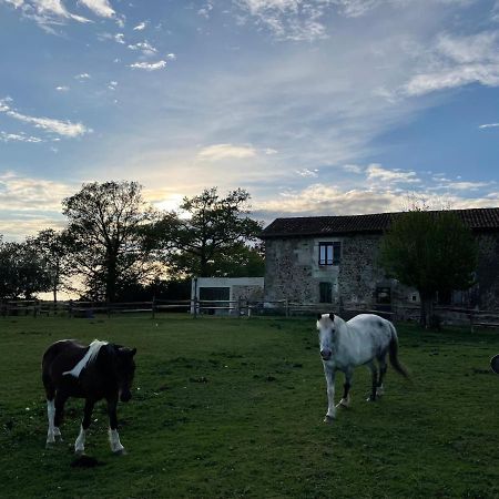 Gite A La Campagne Au Bord D'Un Lac 8 Personnes Saint-Quentin-sur-Charente Eksteriør billede