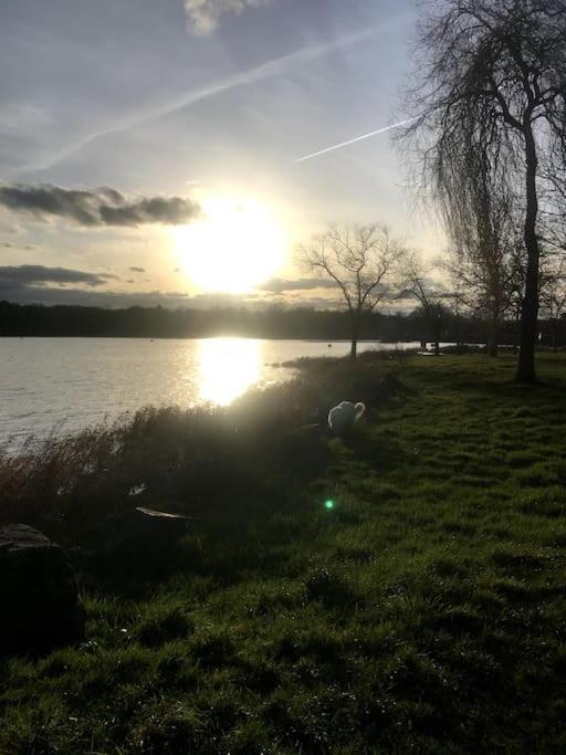 Gite A La Campagne Au Bord D'Un Lac 8 Personnes Saint-Quentin-sur-Charente Eksteriør billede