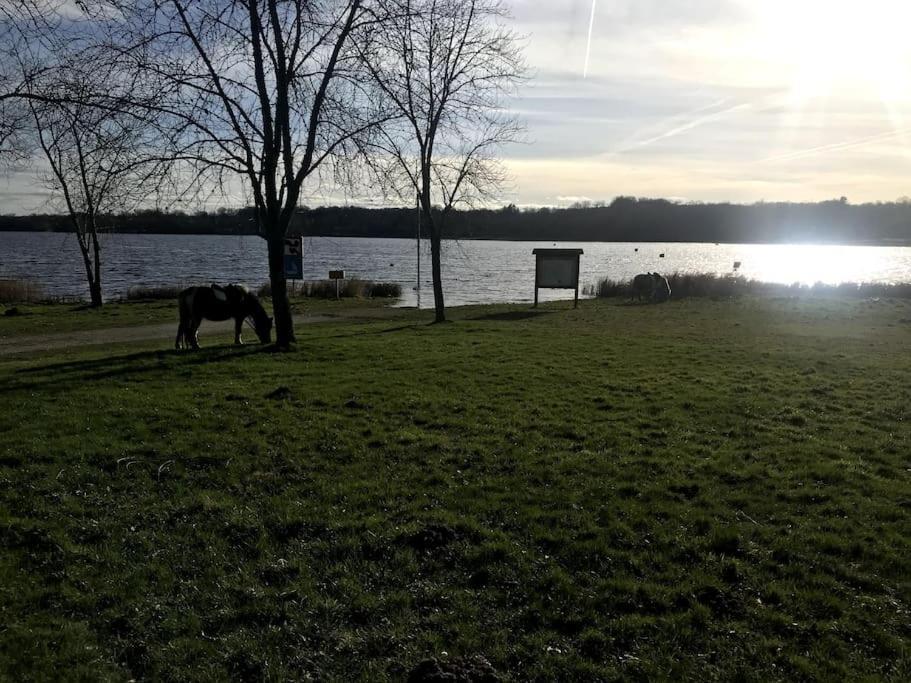 Gite A La Campagne Au Bord D'Un Lac 8 Personnes Saint-Quentin-sur-Charente Eksteriør billede